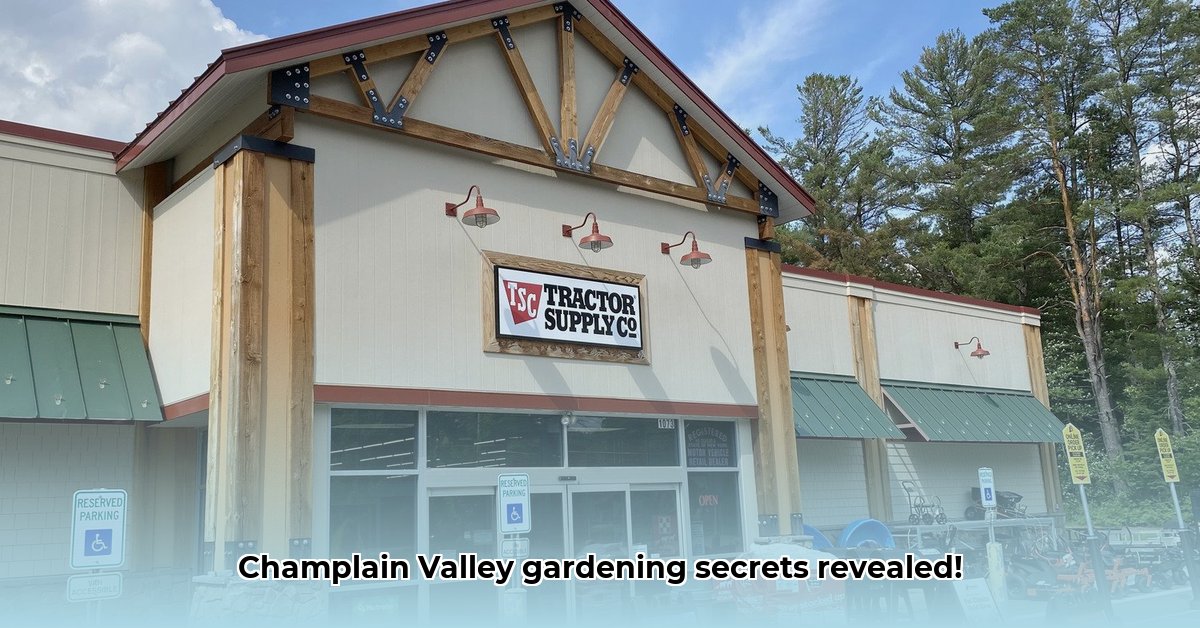 tractor-supply-champlain-new-york